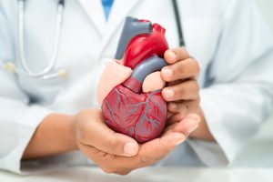 obesidad y las enfermedades cardiovasculares